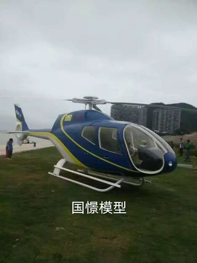 鄢陵县飞机模型